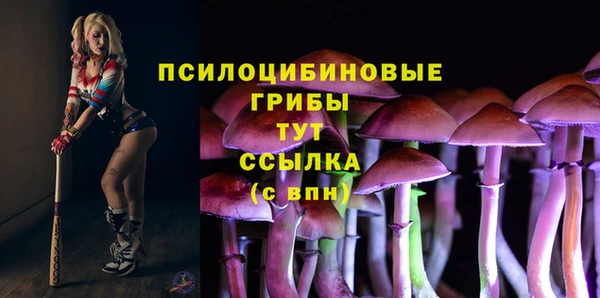 каннабис Алексеевка