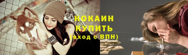 тгк Армянск