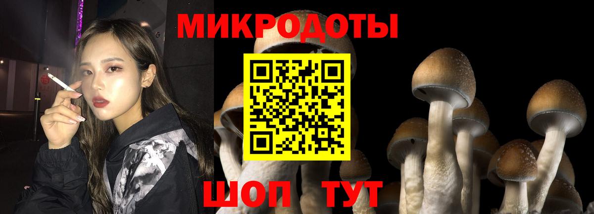 Псилоцибиновые грибы GOLDEN TEACHER Петрозаводск